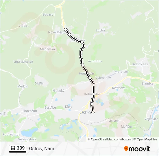 Автобус 309: карта маршрута