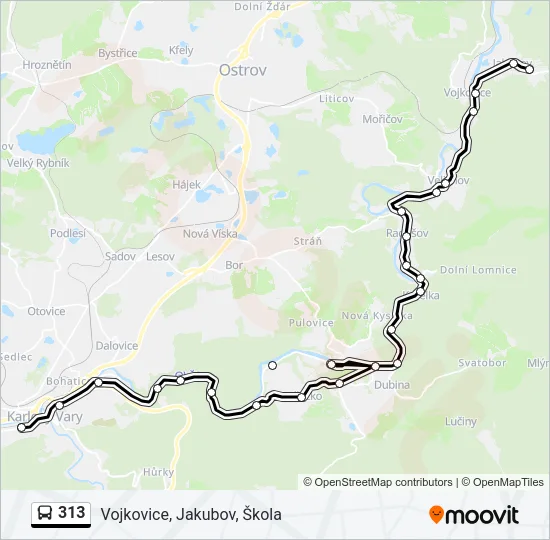 313 Bus Line Map