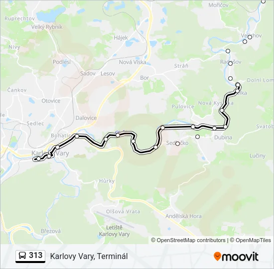 313 Bus Line Map