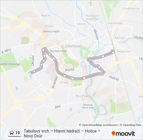 19 Bus Line Map
