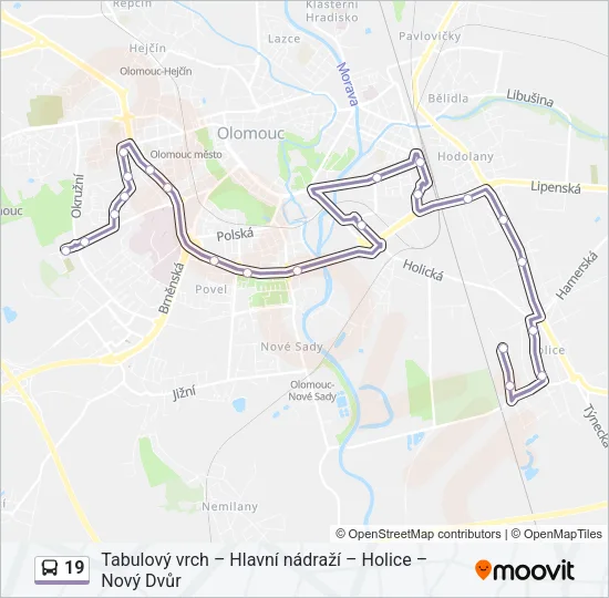 19 Bus Line Map