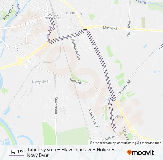 19 Bus Line Map