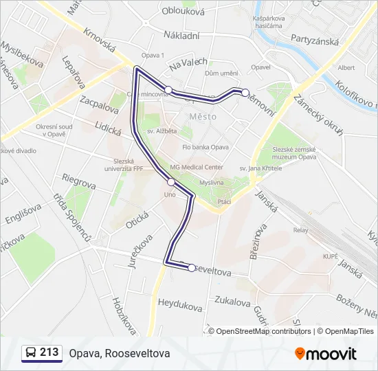 213 Bus Line Map