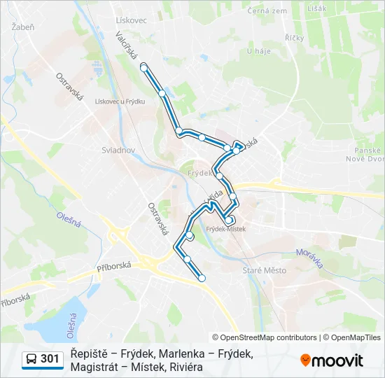 Автобус 301: карта маршрута