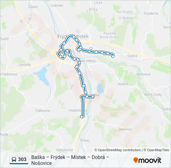 303 Bus Line Map