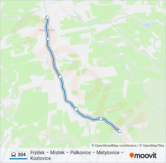 Автобус 304: карта маршрута