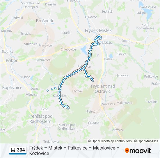 Автобус 304: карта маршрута