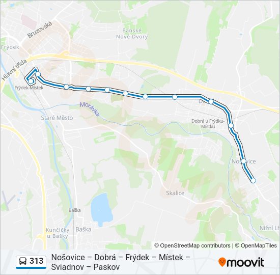Автобус 313: карта маршрута