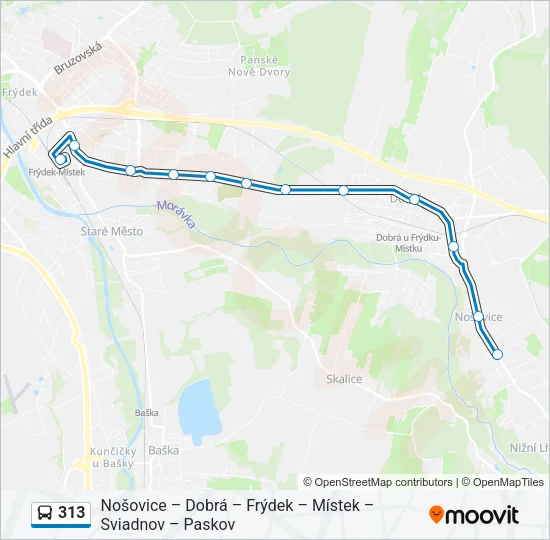 313 Bus Line Map