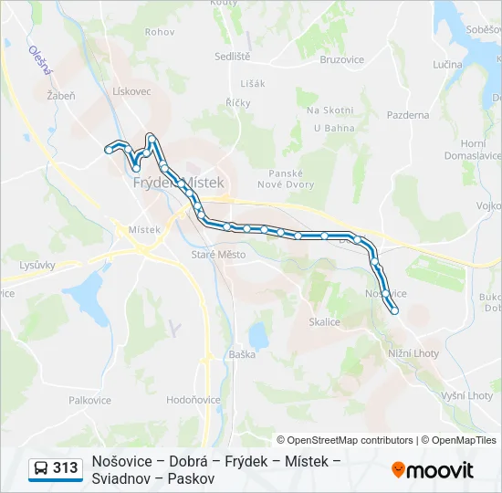 313 Bus Line Map