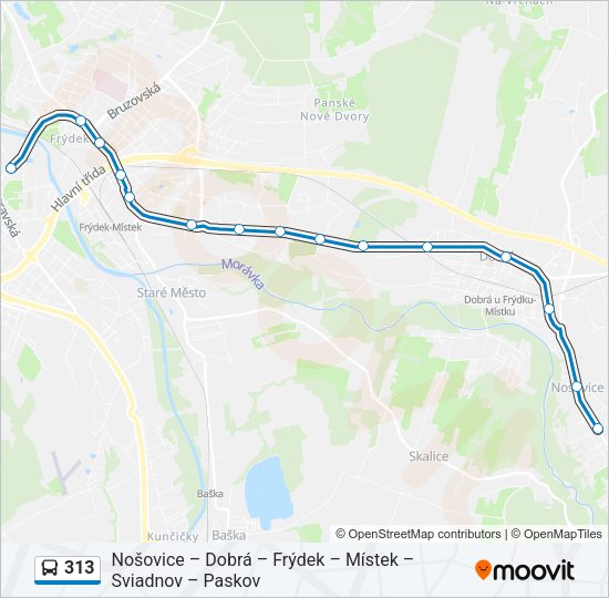 Автобус 313: карта маршрута