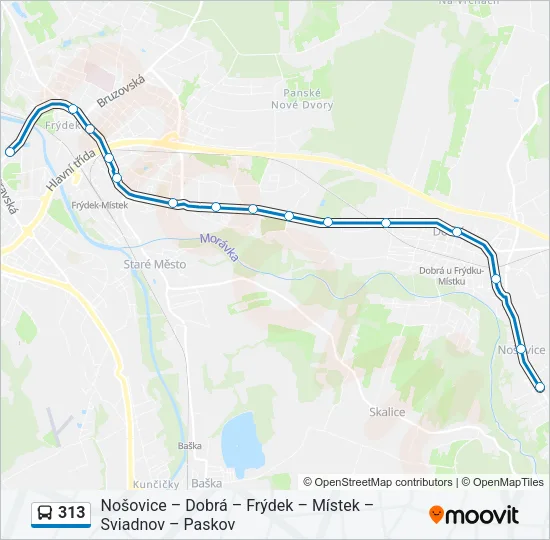 313 Bus Line Map