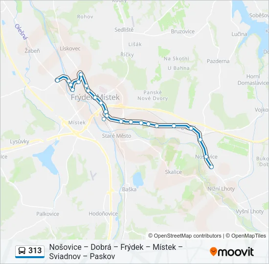 313 Bus Line Map