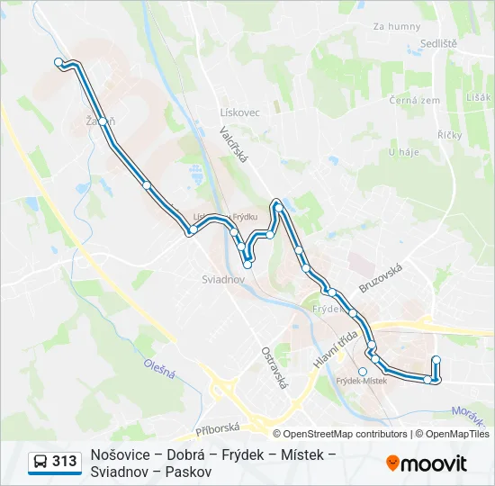 313 Bus Line Map