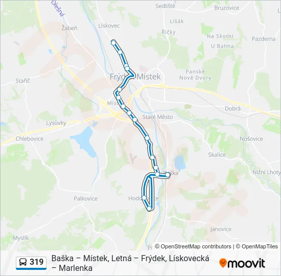 Автобус 319: карта маршрута