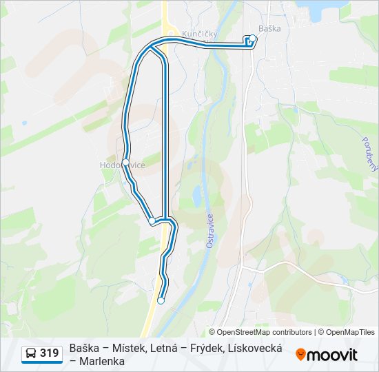 Автобус 319: карта маршрута