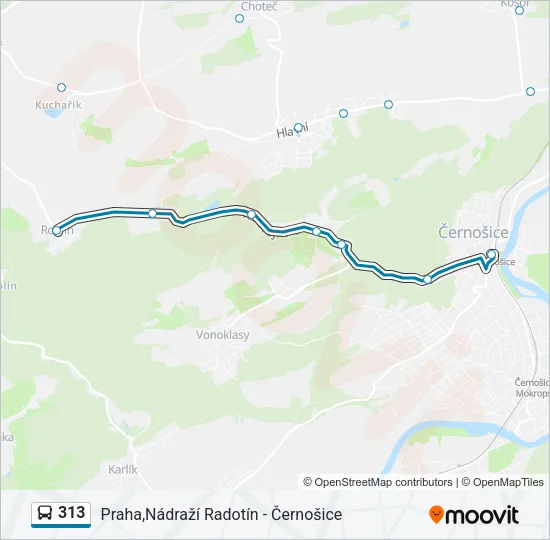 Автобус 313: карта маршрута