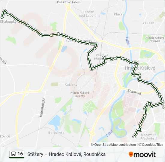 16 Bus Line Map