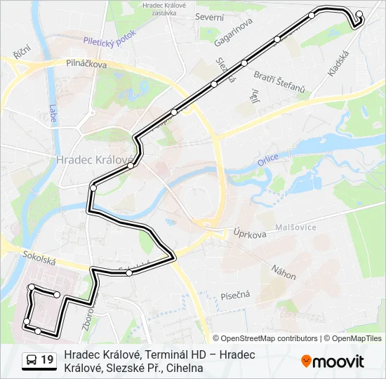 19 Bus Line Map