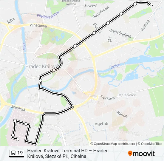 19 Bus Line Map