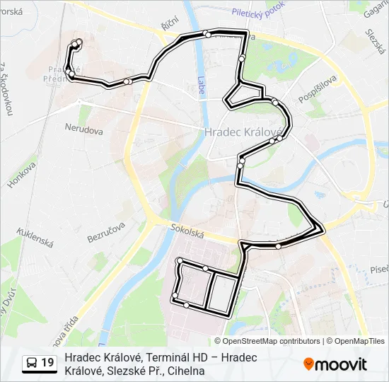 19 Bus Line Map