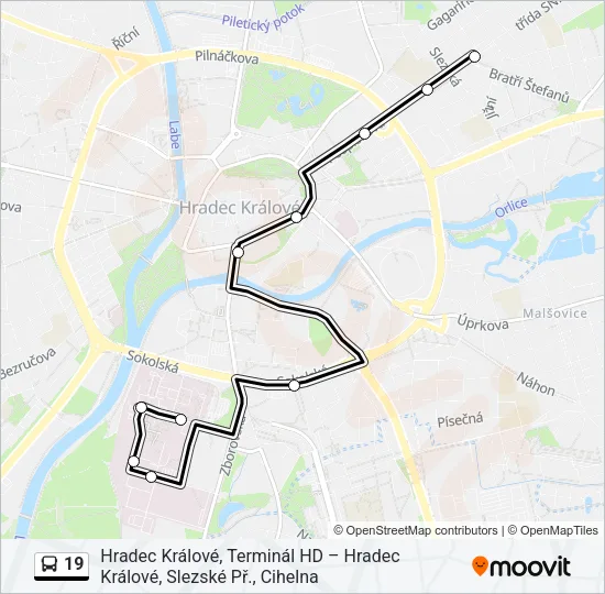 19 Bus Line Map