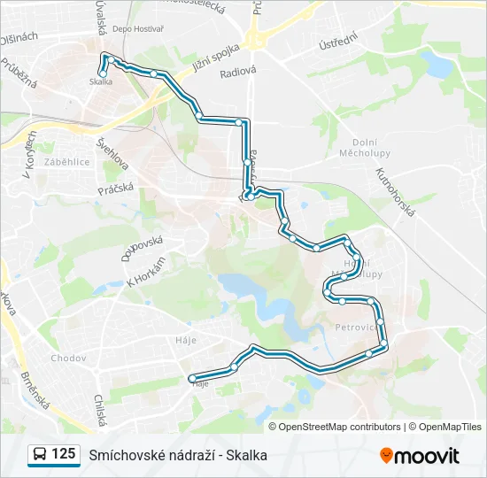125 Bus Line Map