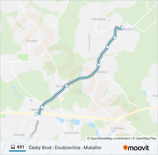 491 bus Line Map