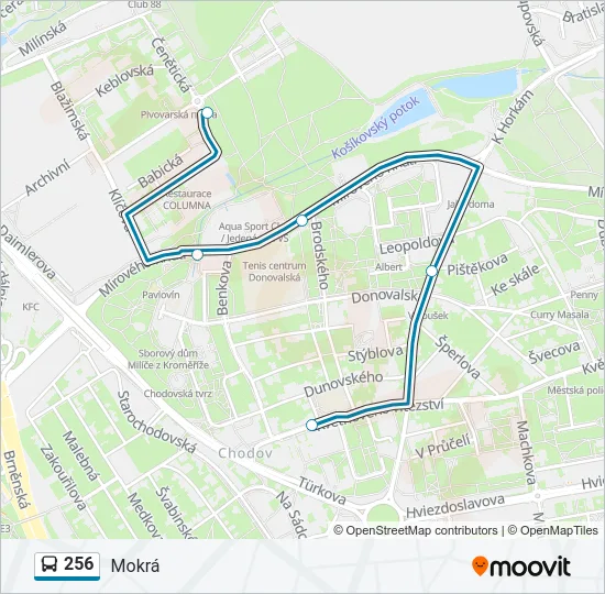 256 Bus Line Map