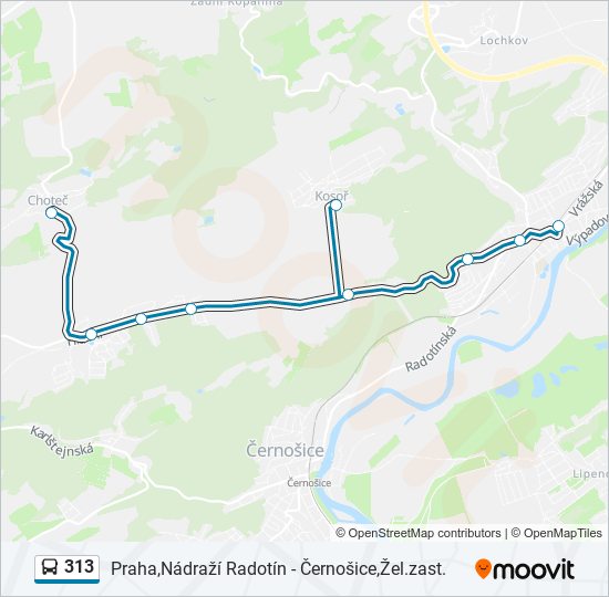 313 bus Line Map