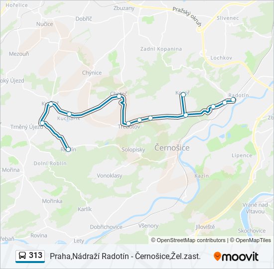 313 bus Line Map