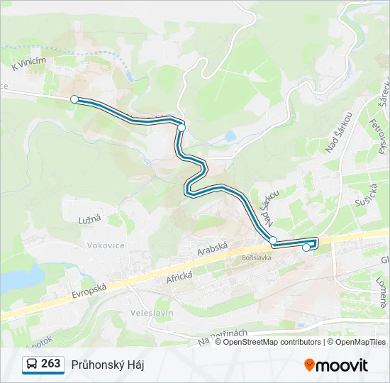 263 Bus Line Map
