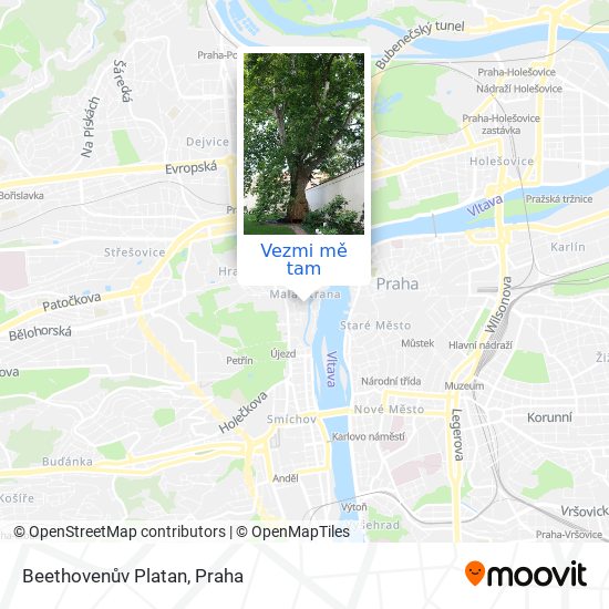 Beethovenův Platan mapa