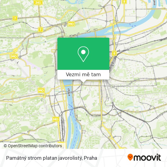 Památný strom platan javorolistý mapa