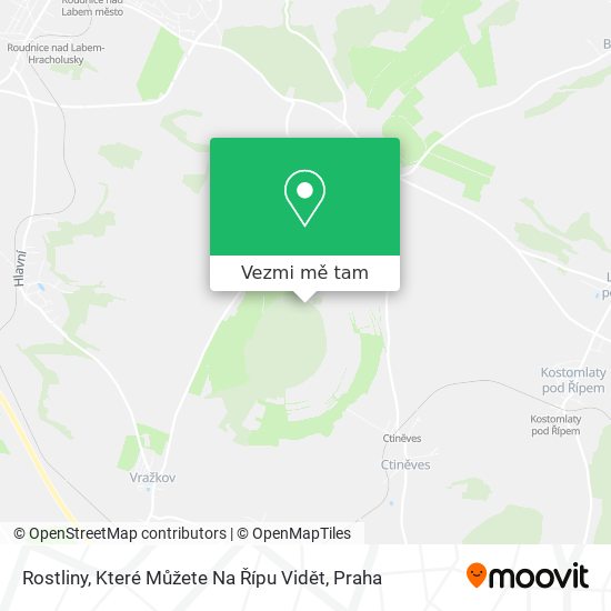 Rostliny, Které Můžete Na Řípu Vidět mapa