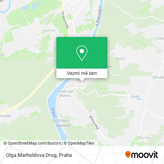 Olga Marholdova Drog mapa