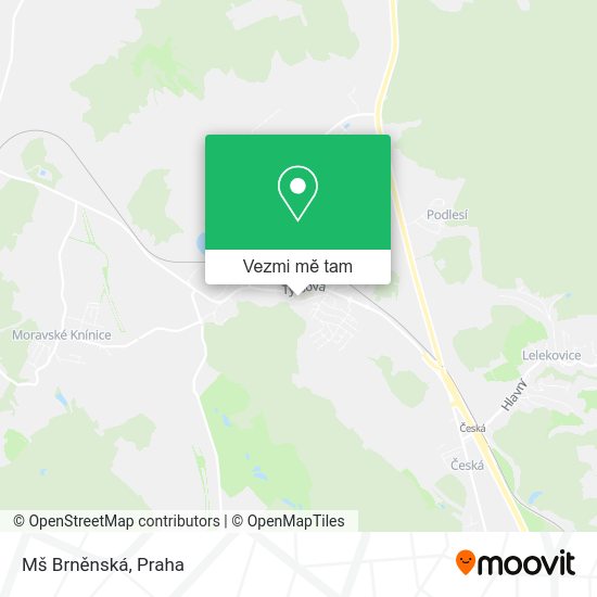 Mš Brněnská mapa