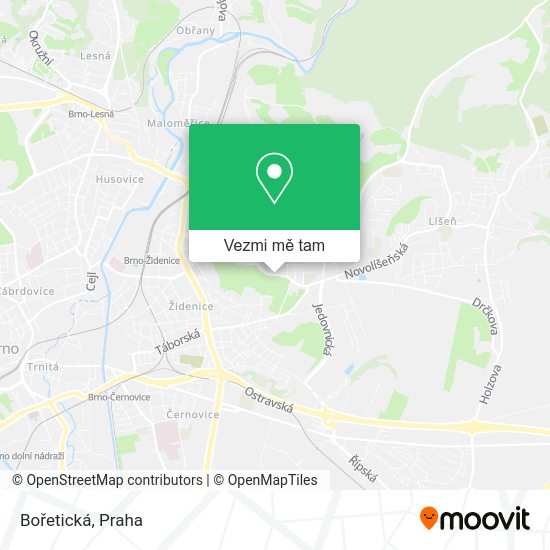 Bořetická mapa