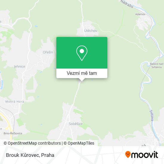 Brouk Kůrovec mapa