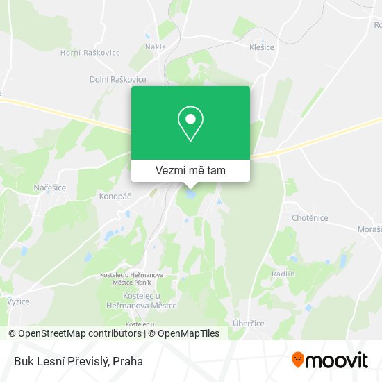 Buk Lesní Převislý mapa