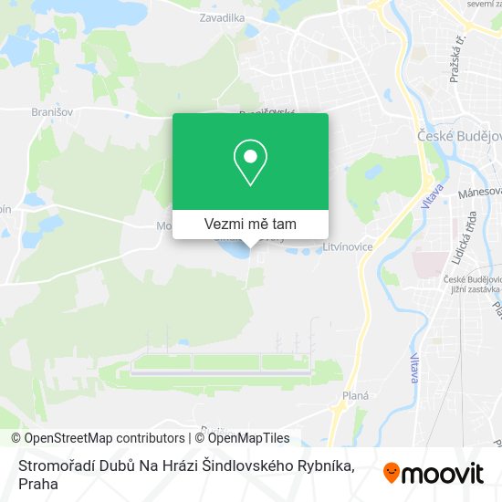 Stromořadí Dubů Na Hrázi Šindlovského Rybníka mapa