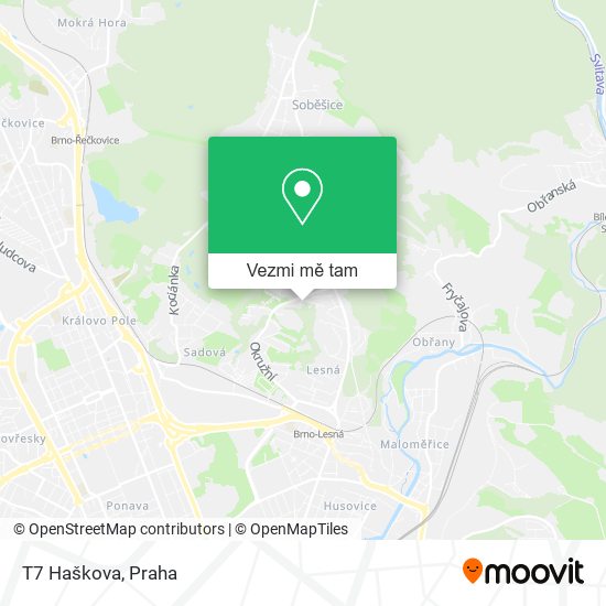 T7 Haškova mapa
