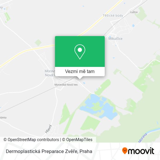 Dermoplastická Preparace Zvěře mapa