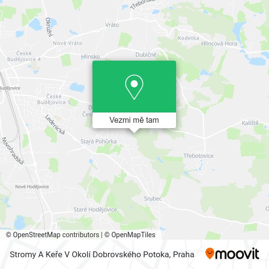 Stromy A Keře V Okolí Dobrovského Potoka mapa
