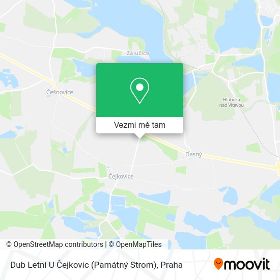 Dub Letní U Čejkovic (Památný Strom) mapa