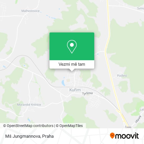 Mš Jungmannova mapa