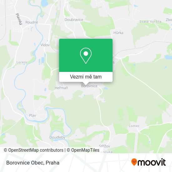 Borovnice Obec mapa