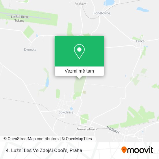 4. Lužní Les Ve Zdejší Oboře mapa