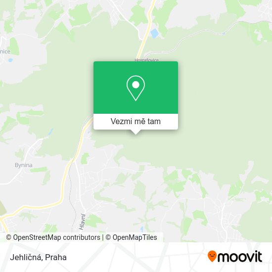 Jehličná mapa