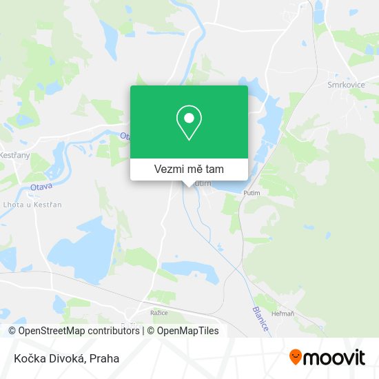 Kočka Divoká mapa